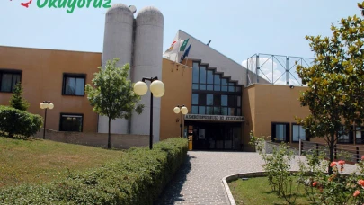 Isernia Üniversitesi Başvuru ve Okuma Şartları