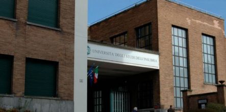Insubria Üniversitesi